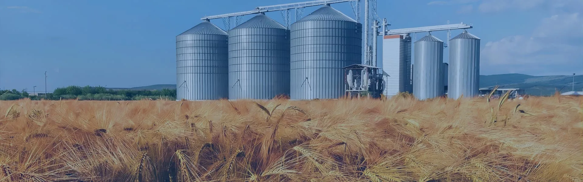 Domeniul Agricol