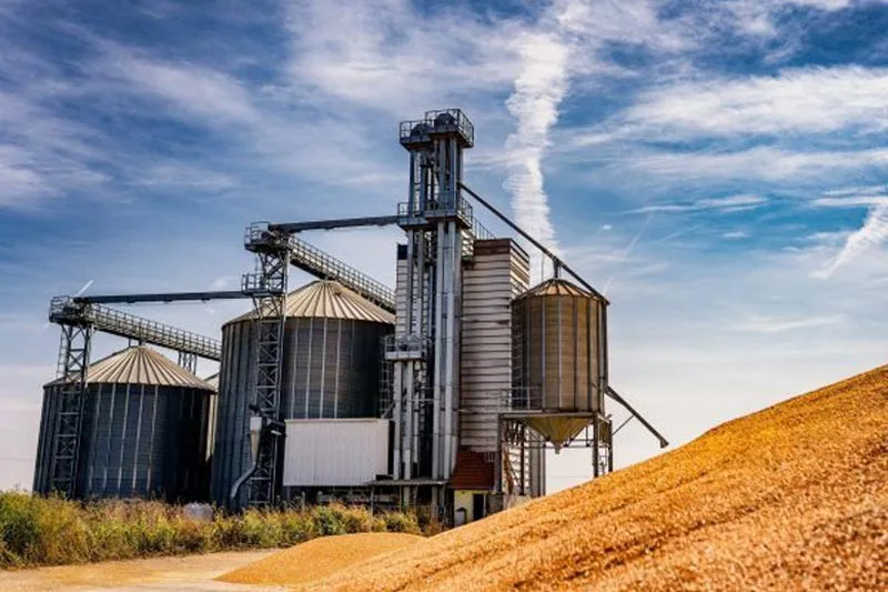 Domeniul Agricol
